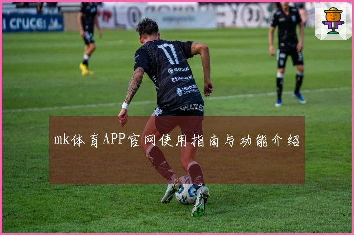 mk体育APP官网使用指南与功能介绍