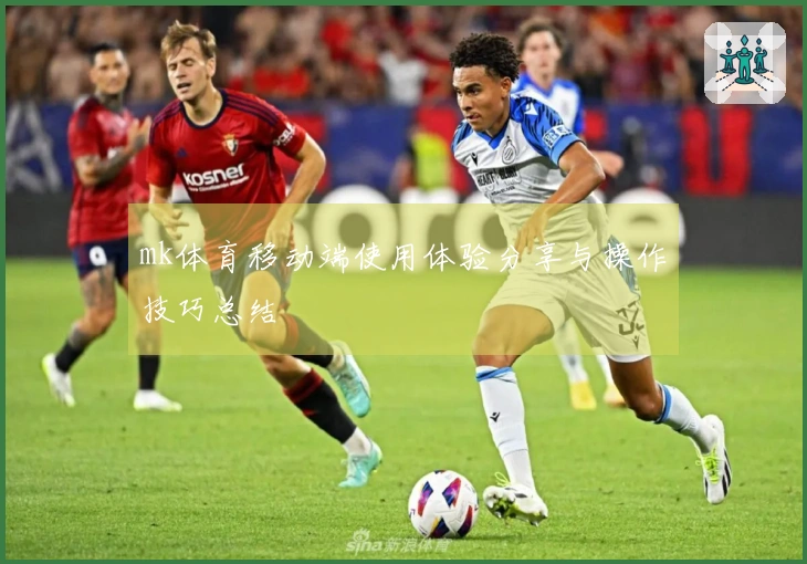 mk体育移动端使用体验分享与操作技巧总结